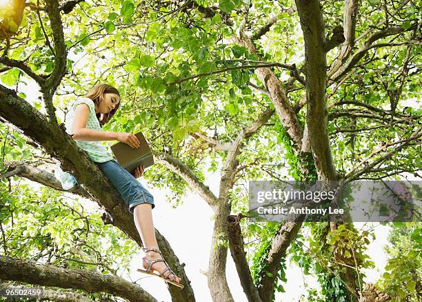 girl sitting in tree reading book - anthony summers stock pictures, royalty-free photos & images