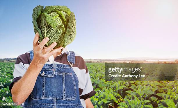 farmer hiding face behind cabbage - cabbage stock pictures, royalty-free photos & images