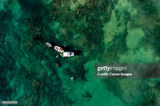 aerial view of boats on sea - salvador bahia stock-fotos und bilder