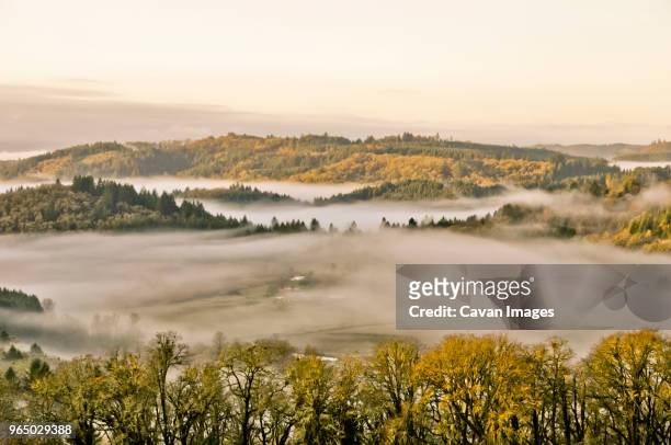 scenic view of fog over landscape against sky - willamette valley stock pictures, royalty-free photos & images