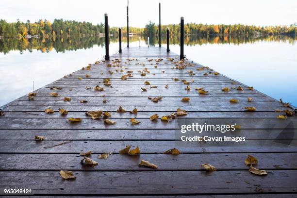 wooden pier over calm lake during autumn - ely minnesota stock pictures, royalty-free photos & images