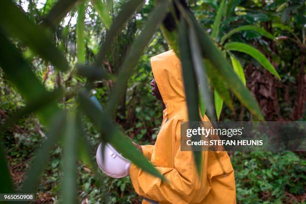 Member of the geological survey team walks through the dense vegetation at the Segilola Gold Project site in the village of Iperindo-Odo Ijesha, near...