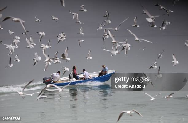 People are seen among seagulls at a nameless islet located in the middle of Dukan Dam in Sulaymaniyah, Iraq on May 30, 2018. The islet hosts...