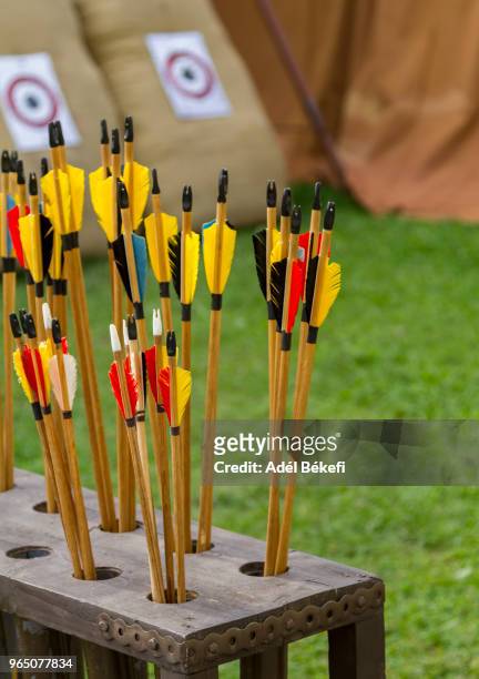 arrows - archery feather stockfoto's en -beelden
