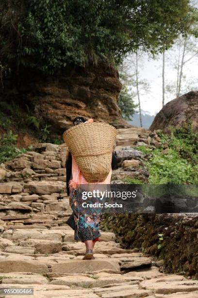 nepalese vrouw met een mand in de buurt van annapurna bereik, nepal - annapurna circuit stockfoto's en -beelden