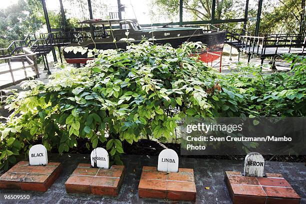 The graves of Hemingway�s dogs Black, Negrita, Linda and Neron against the backdrop of Hemingway�s boat Pilar, next to Ernest Hemingway�s house, at...