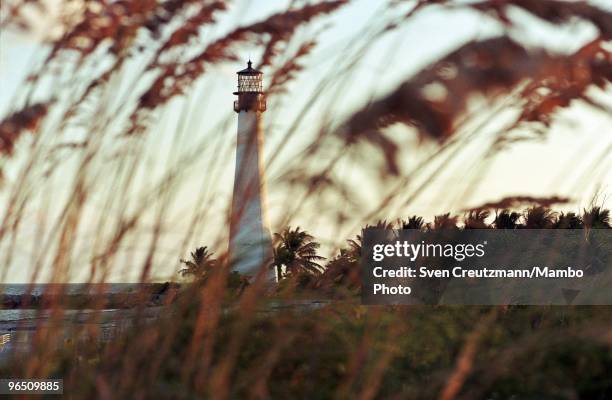 The lighthouse at Bill Baggs Cape Florida State Park in Key Biscayne, where Gregory Hemingway most likely spent his last nite before he was arrested,...