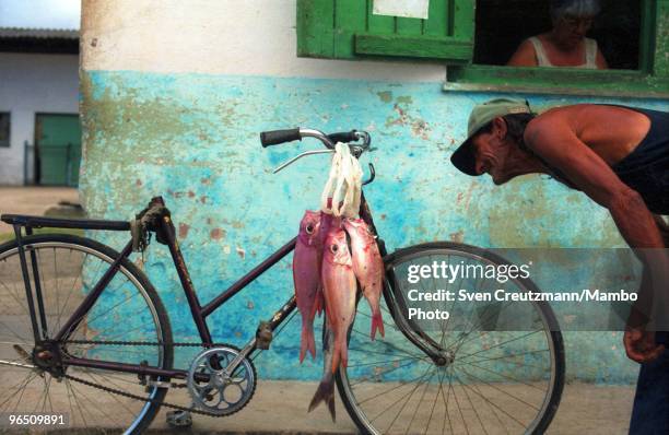 Cuban fisherman Hisidro looks at the catch of another fishermen, tied on to a bicycle, in the little fishermen village Cojimar, on June 13 in Havana,...