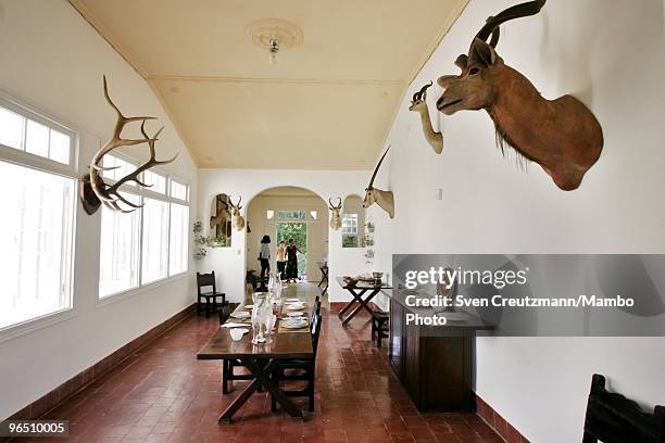 Hunting trophies hang on the walls of Ernest Hemingway�s house at the Finca Vigia, on January 6, 2007 in Havana, Cuba. The Hemingway Finca Vigia, now...