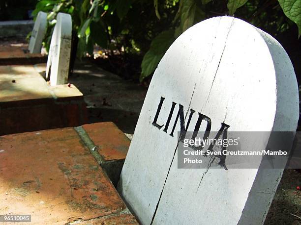 The gravesite of Hemingway�s dog Linda next to Ernest Hemingway�s house at the Finca Vigia, on January 6, 2007 in Havana, Cuba. The Hemingway Finca...