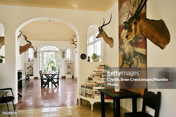 Hunting trophies hang on the walls of the living-room of Ernest Hemingway�s house at the Finca Vigia, on December 4, 2006 in Havana, Cuba. The...