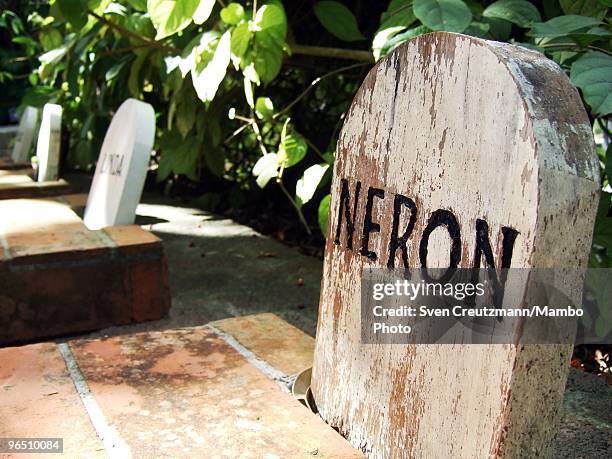 The gravesite of Hemingway�s dog Neron, next to Ernest Hemingway�s house at the Finca Vigia, on January 6, 2007 in Havana, Cuba. The Hemingway Finca...