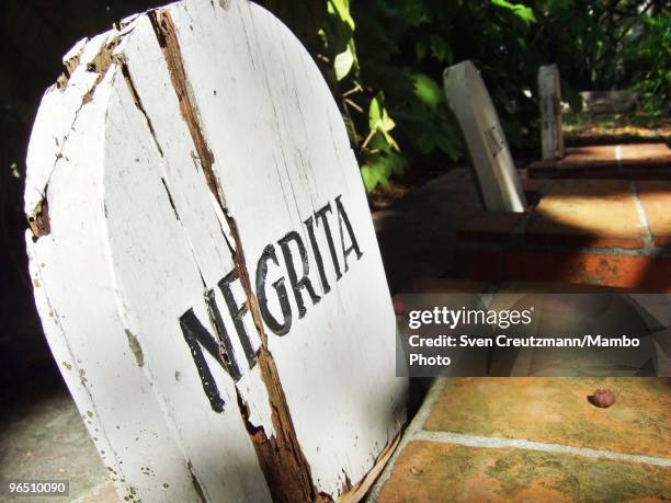 The gravesite of Hemingway�s dog Negrita next to Ernest Hemingway�s house at the Finca Vigia, on January 6, 2007 in Havana, Cuba. The Hemingway Finca...