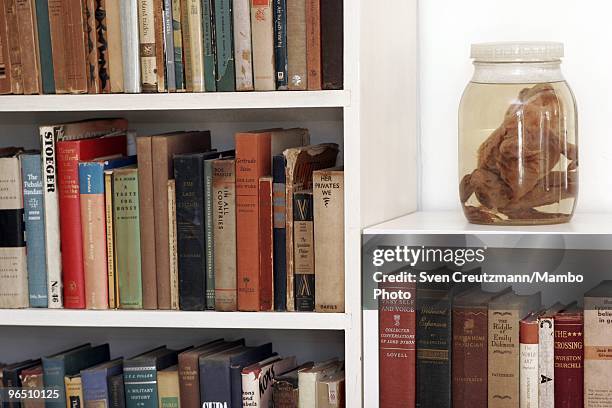 Frog in a glass with formaldehyde stands atop a shelf in the bathroom of Ernest Hemingway�s house at the Finca Vigia, on January 6, 2007 in Havana,...