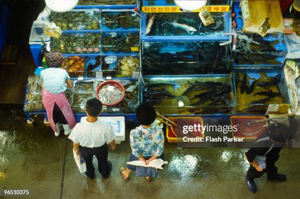187 Noryangjin Fish Market Stock Photos, High-Res Pictures, and Images ...
