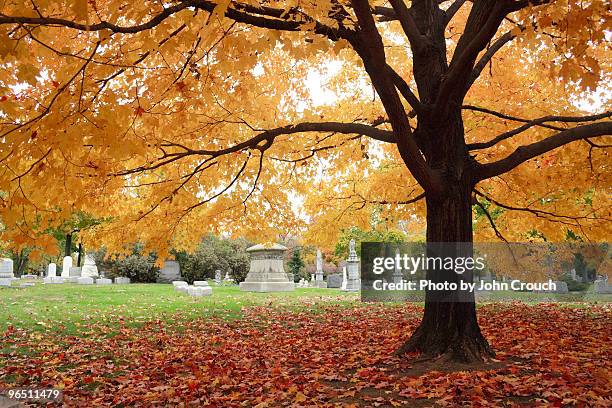 autumn in cemetery - begravningsplats bildbanksfoton och bilder