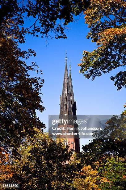 church framed by autumn leaves - catedral de uppsala imagens e fotografias de stock