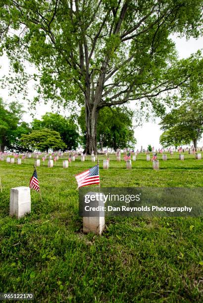 american military cemetery - veteran memorial stock pictures, royalty-free photos & images