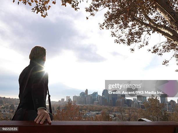 businessman looks over city from park bench, autum - vista trasera de tres cuartos fotografías e imágenes de stock