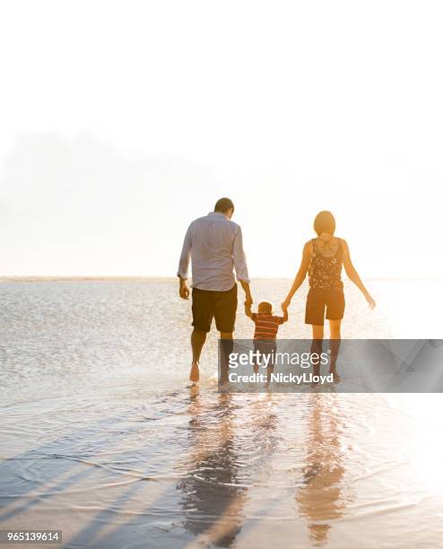 beautiful family holding hands walking on the beach - family sunset stock pictures, royalty-free photos & images