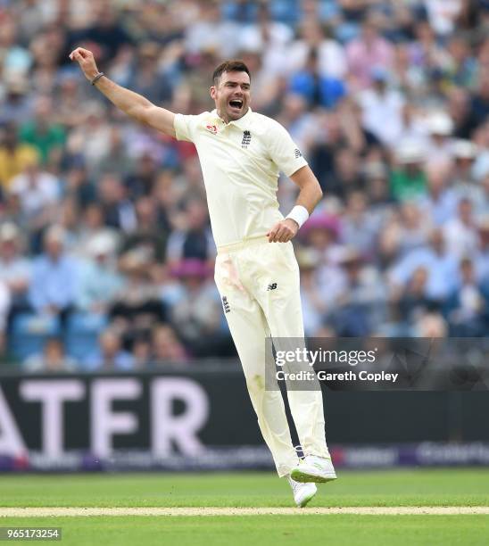 James Anderson of England celebrates dismissing Faheem Ashraf of Pakistan during the 2nd NatWest Test match between England and Pakistan at...