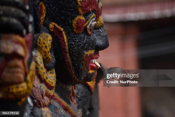 Sparrow steals offering food by the devotees on the mouth of Kaal Bhairab's statue, the Hindu god of destruction at Basantapur Durbar Square,...