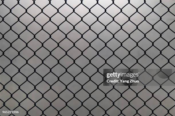 metal grid on a white background - netting 個照片及圖片檔