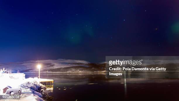 winter aurora borealis in the finland sky with trees silhouettes, north pole - pola damonte stockfoto's en -beelden