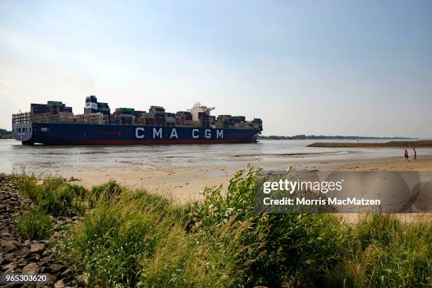 People relax on a beach as a container ship passes by on the Elbe River near Hamburg Port on June 1, 2018 in Hamburg, Germany. Shipping companies...