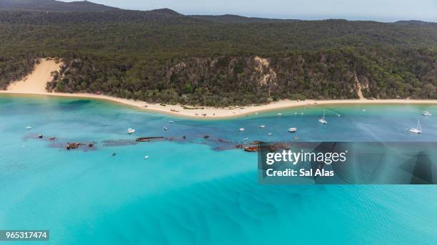 aerial view of moreton island where sea meets forest - moreton island stockfoto's en -beelden