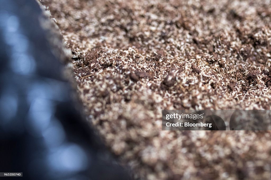 Operations Inside The Entomo Cricket Farm As Company Receives Funding From Maple Leaf Foods