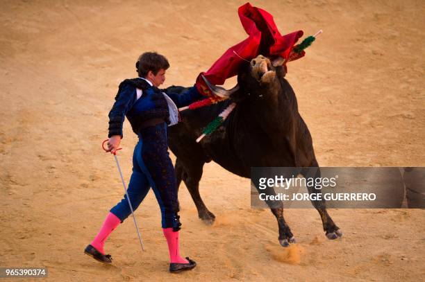 Spanish matador Julian Lopez "El Juli" performs a pass with muleta on a bull during the Corpus bullfighting festival at the Granada bullring on June...
