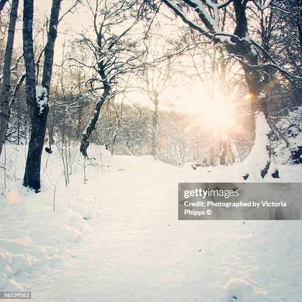 winter flare - aberfeldy stock pictures, royalty-free photos & images