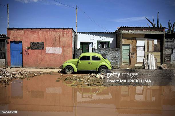 Green beetle is seen in the flooded Vila Any neighbourhood, at the edge of the northern and eastern sectors of Guarulhos, outskirsts of Sao Paulo,...