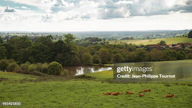 countryside view in charente, between angouleme and limoges, france - charente photos et images de collection