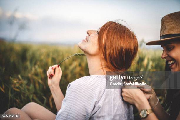 nuevo peinado en un campo - trenzado fotografías e imágenes de stock