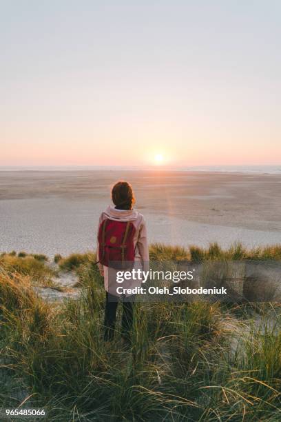 kvinnan promenader nära havet på ön texel i solnedgången - texel bildbanksfoton och bilder