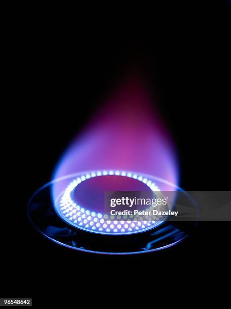 gas burner with blue flame cooking ring - ring flames stock-fotos und bilder