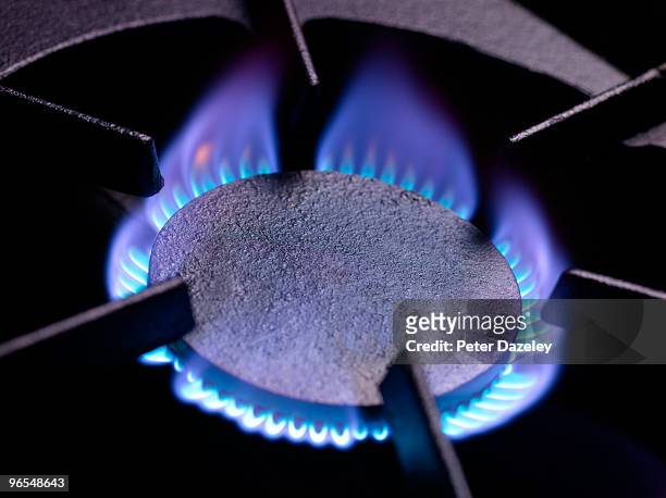 gas cooking ring with blue flame - gasbrander stockfoto's en -beelden