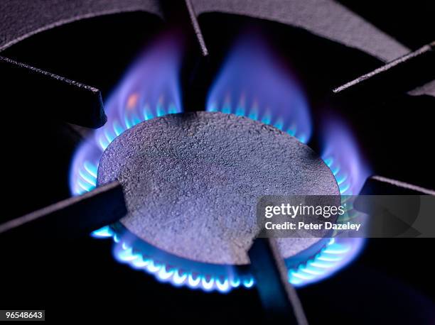 gas cooking ring with blue flame - natural gas flame stock pictures, royalty-free photos & images