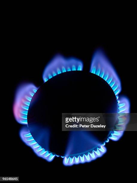 gas burner with blue flame from above - gas flame stock-fotos und bilder