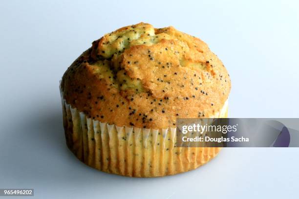 lemon poppy seed muffin - graine de pavot photos et images de collection