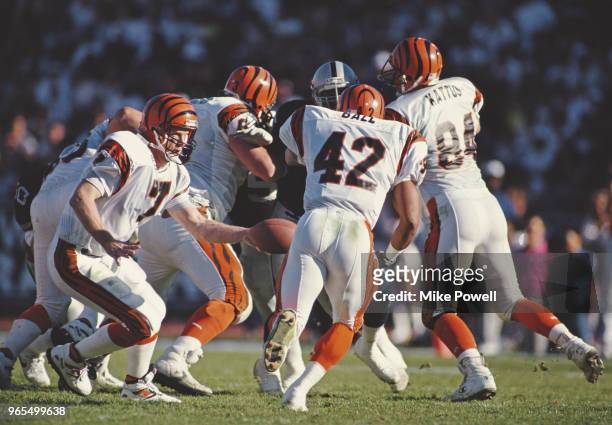 Boomer Esiason, Quarterback for the Cincinnati Bengals hands off the ball to Running Back Eric Ball during the American Football Conference...