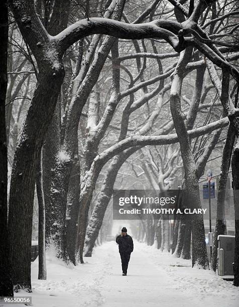 Man braves the snow as he walks down 5th Avenue as a major snowstorm hits New York City February 10, 2010 and grounded hundreds of flights on the...