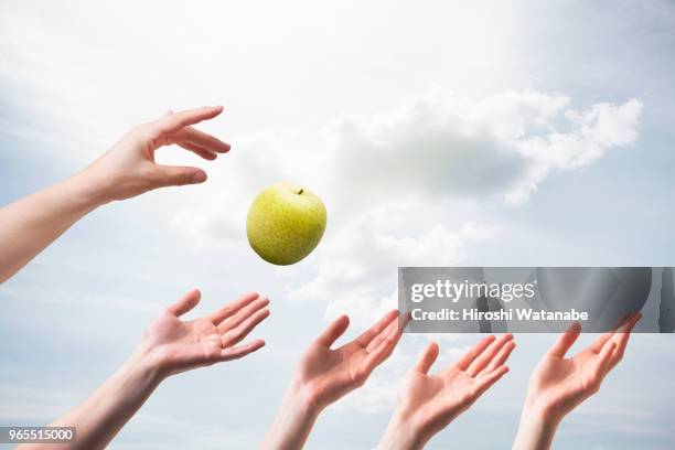 hands seem to catch the green apple - 手を伸ばす 女性 ストックフォトと画像