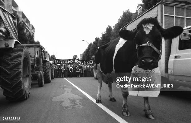 Les agriculteurs du Grand Ouest se retrouvent pour une manifestation le 29 mai 1984 à Angers, France.