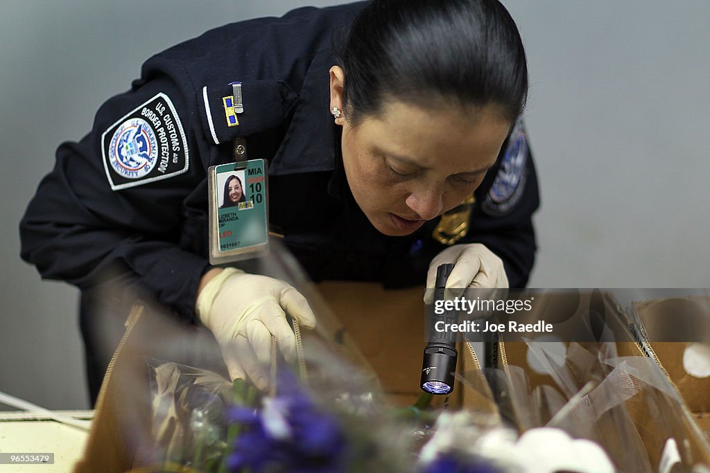 Customs And Border Agents Inspect Valentine's Day Flowers Coming Into US