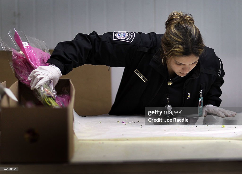 Customs And Border Agents Inspect Valentine's Day Flowers Coming Into US