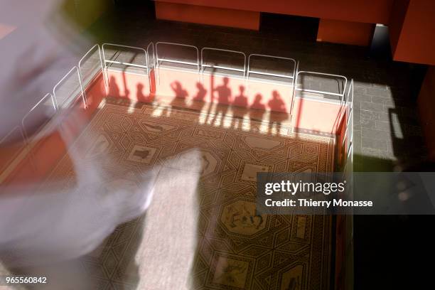 Tourists are looking at the Dionysus mosaic in the Romano-Germanic Museum . The museum, opened in 1974, is located next to Cologne Cathedral, on the...