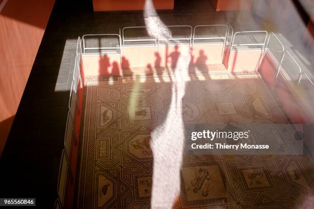 Tourists are looking at the Dionysus mosaic in the Romano-Germanic Museum . The museum, opened in 1974, is located next to Cologne Cathedral, on the...